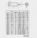 Винт установочный под шестигранный ключ M3*6, DIN914, конусный, из нержавеющей стали 304